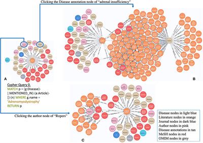 Rare disease-based scientific annotation knowledge graph